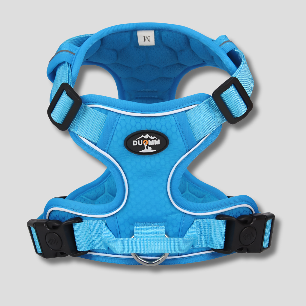 Visible Adjustable Pet Dog Vest