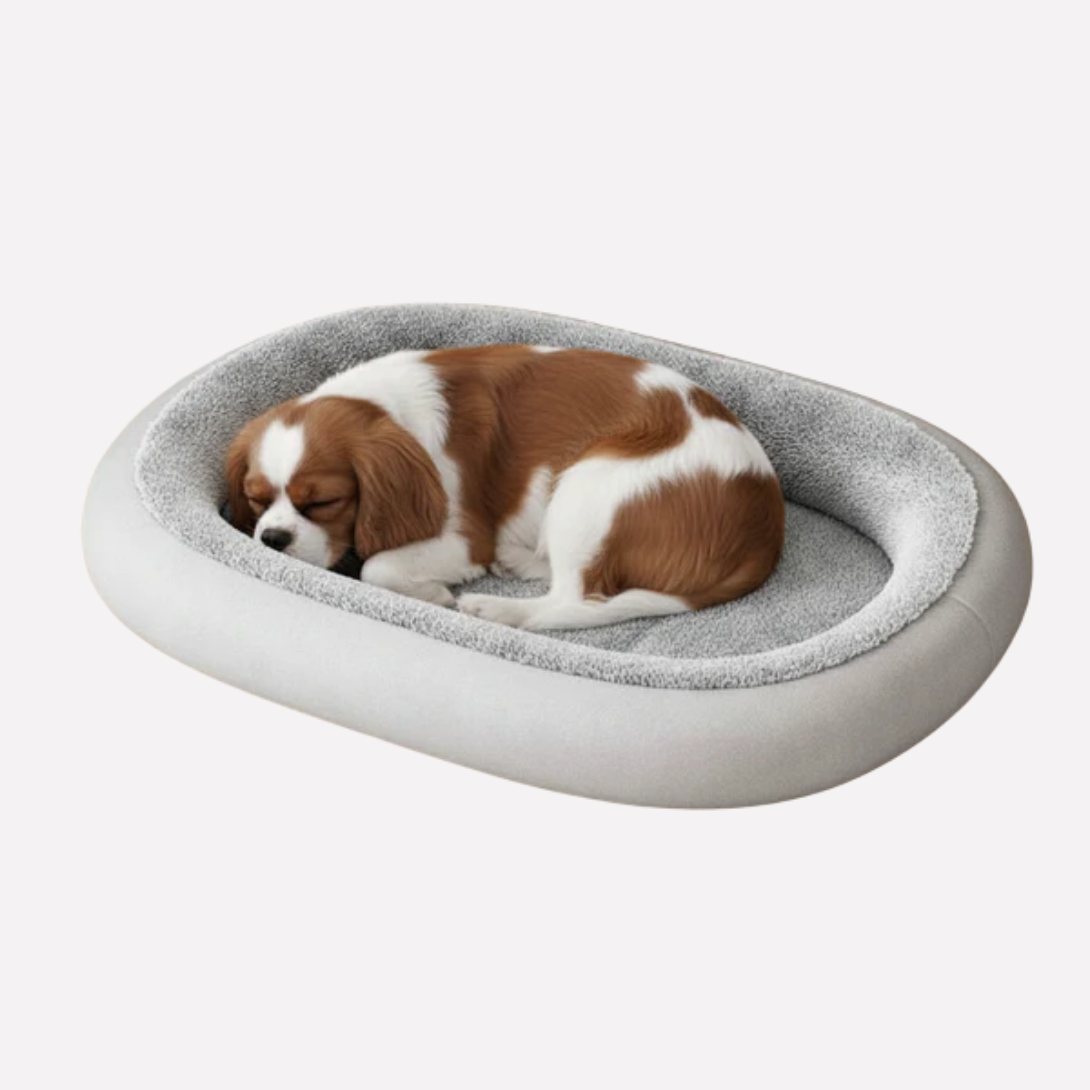 Plush Orthopedic Dog Mattress