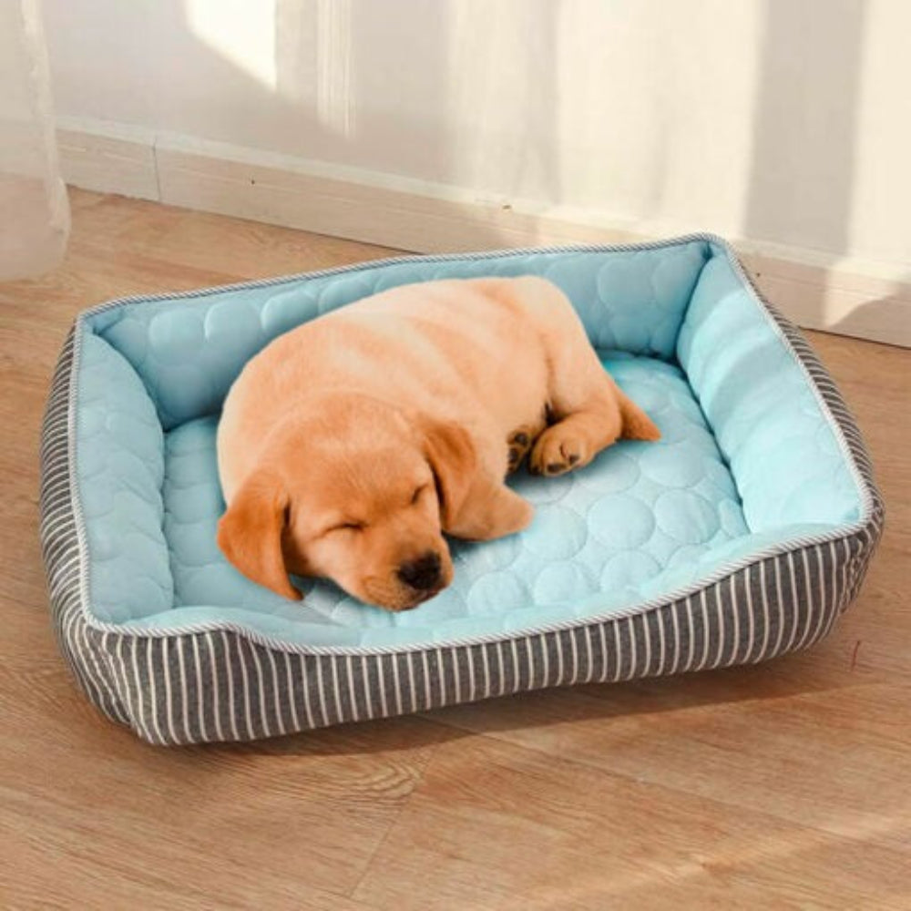 Cool Pet Bed for Summer Relief
