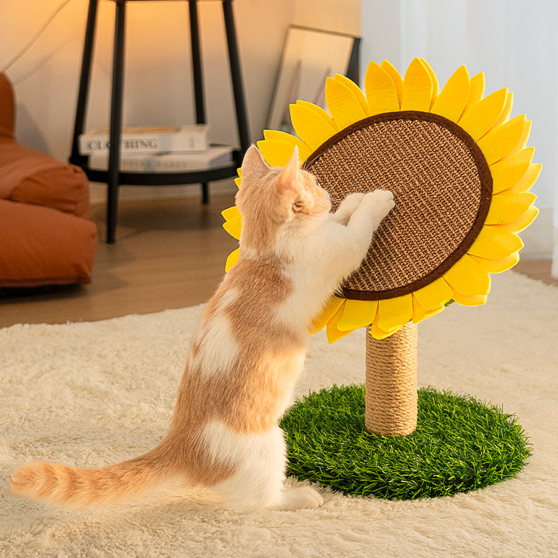 Colorful Cat Scratch Pad – Floral Pattern - Peties