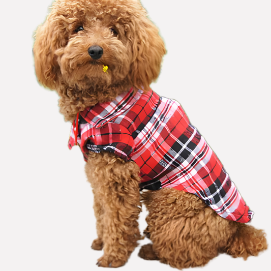 Traditional Flannel Pet Shirt - Peties