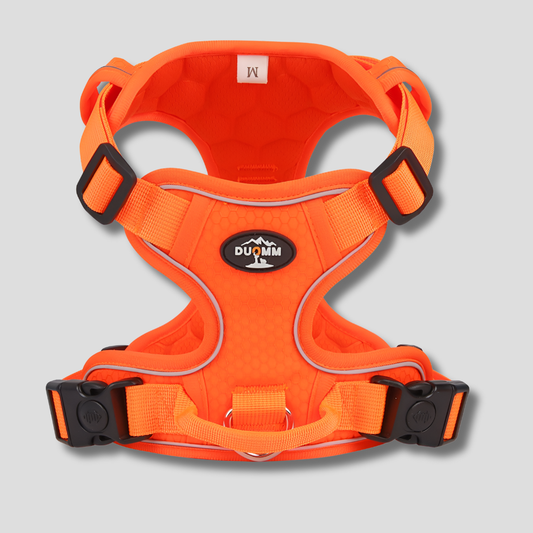 Visible Adjustable Pet Dog Vest - Peties