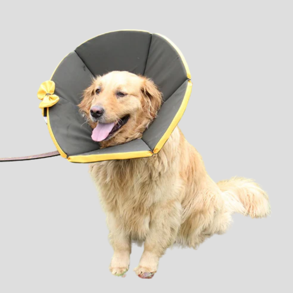 Comfortable Pet Safety Collar for Dogs - Peties
