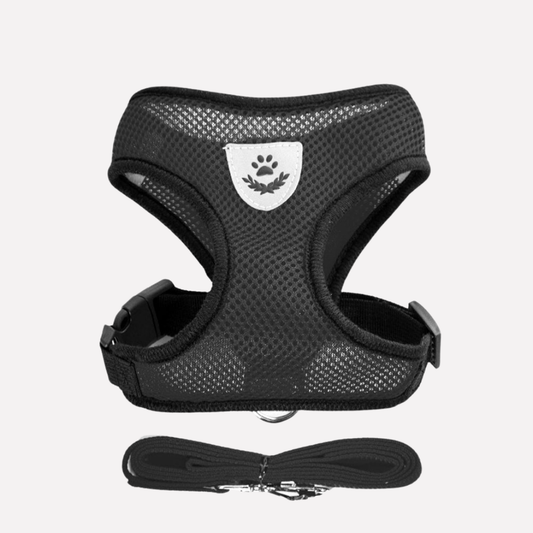 Comfortable Air Mesh Dog Harness Set - Peties