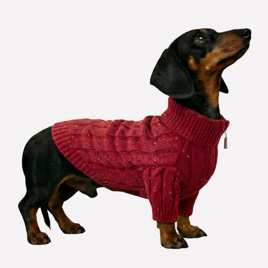 Cozy Sweater Dog Zip Up Dachshund Jumper - Peties