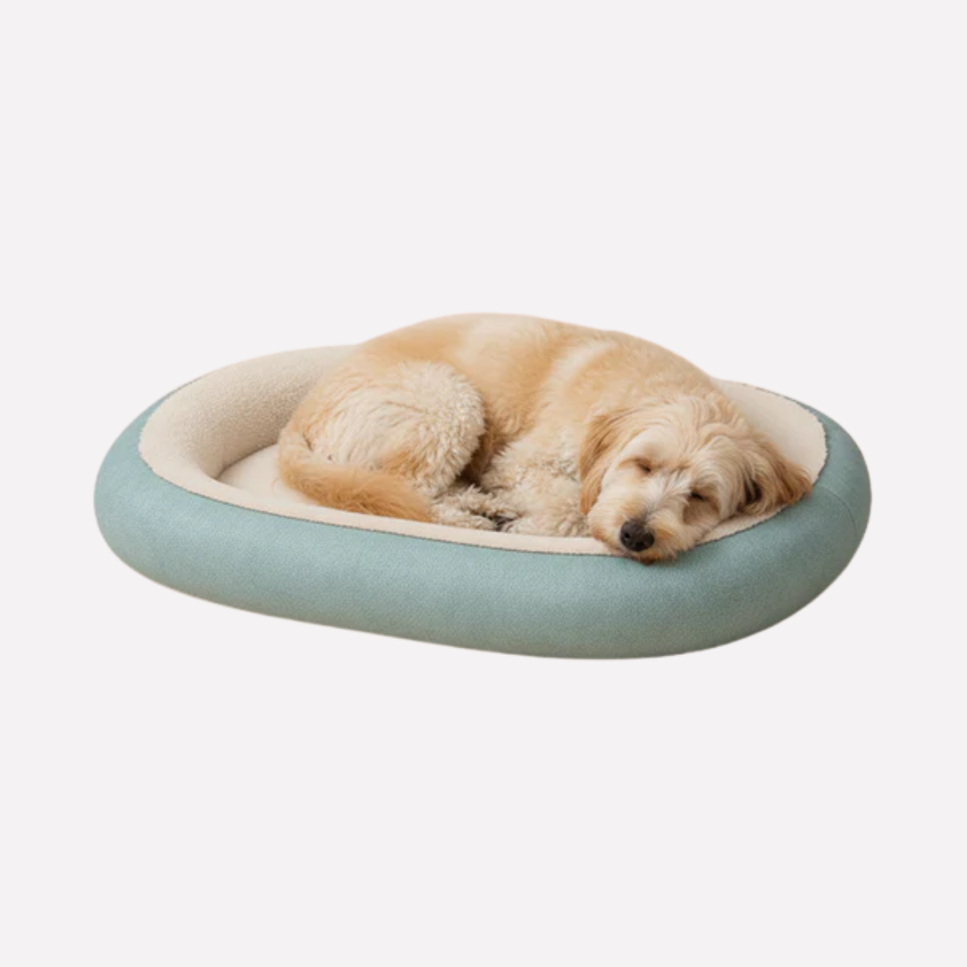 Plush Orthopedic Dog Mattress