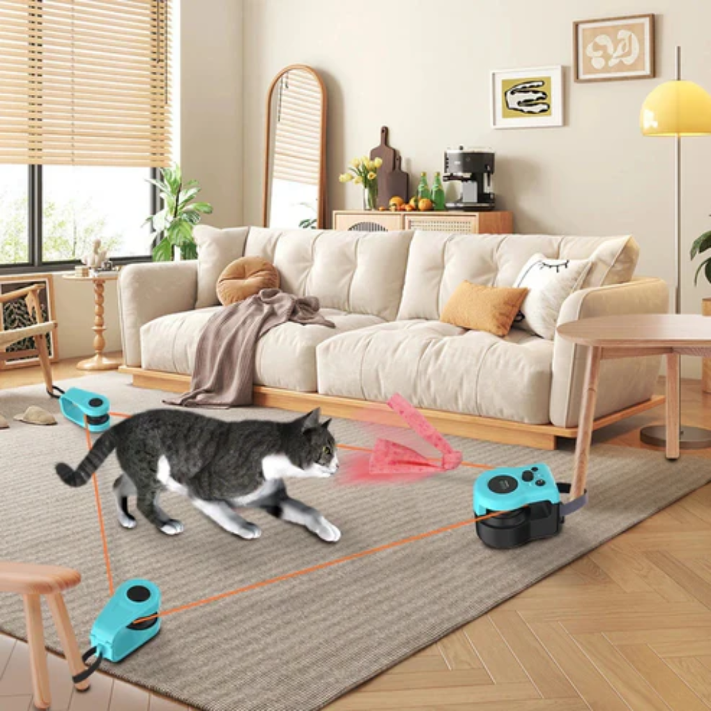 Fun Interactive Laser Cat Toy for Indoor Play - Peties