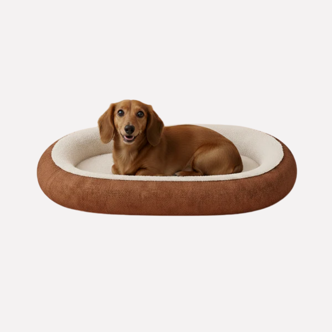 Plush Orthopedic Dog Mattress