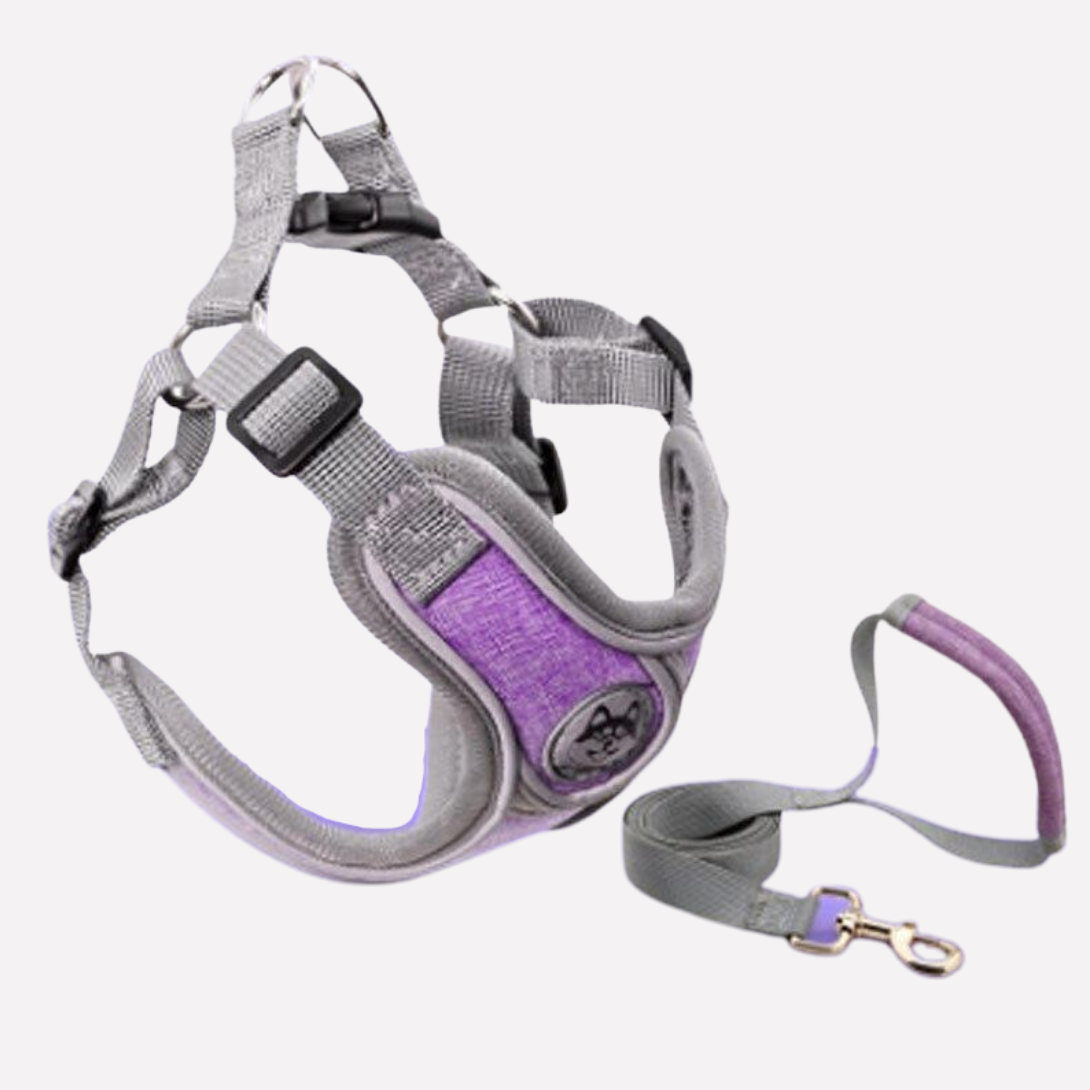 Puppy Walking Harness Adjustable Vest Kit