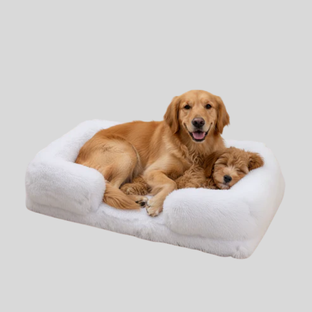 Comfy Orthopedic Dog Mattress