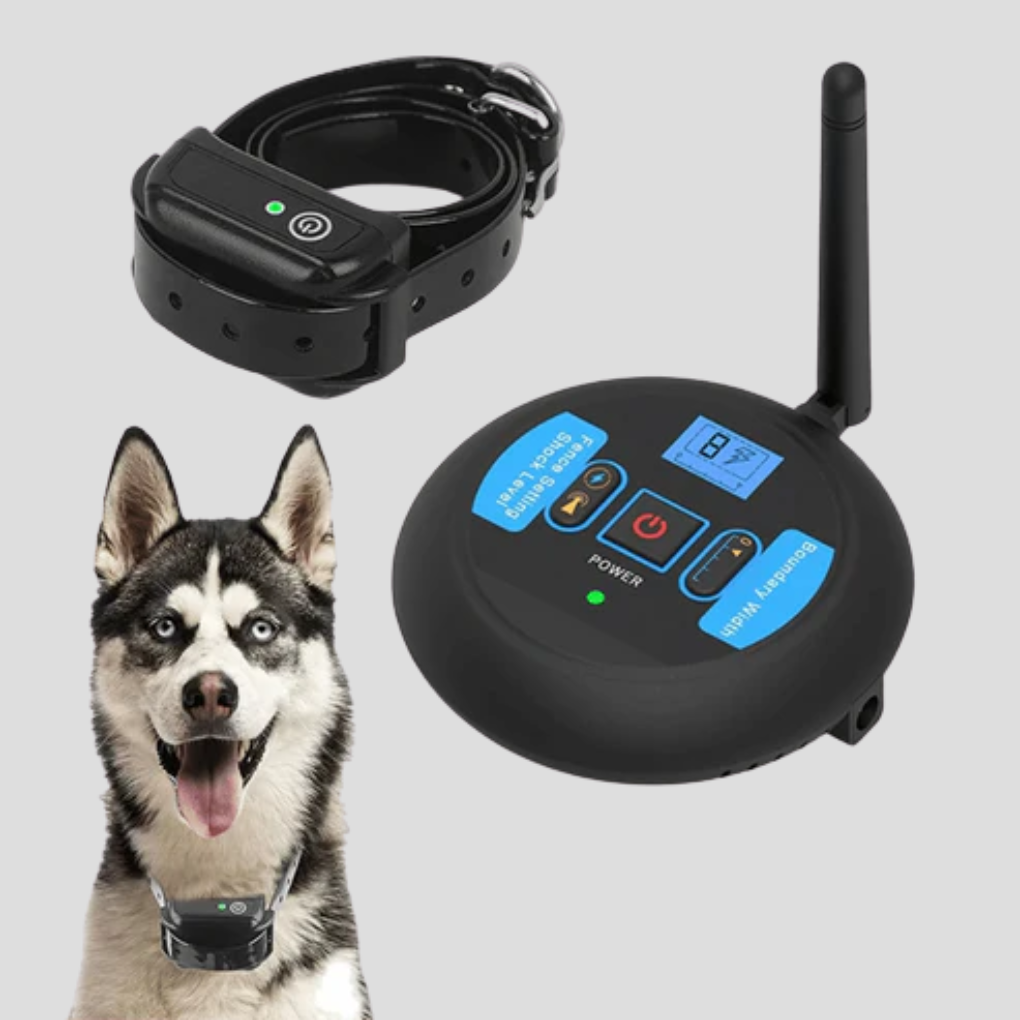 Pet Safe Wireless Fence Collar Kit – 200m Range - Peties