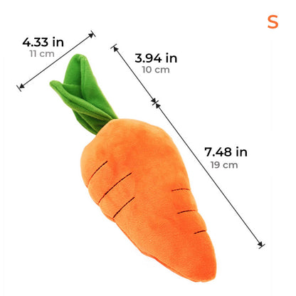 Fun Orange Squeaky Dog Toy