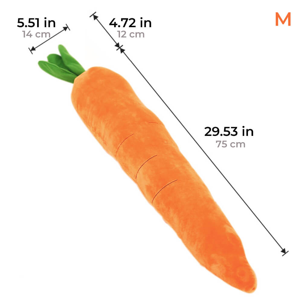 Fun Orange Squeaky Dog Toy