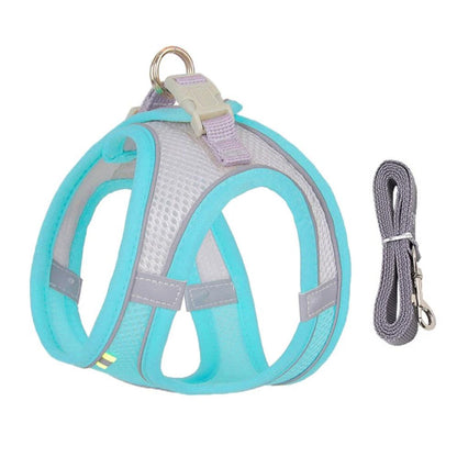 Cat Harness with Leash