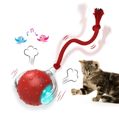 Interactive Rolling Ball Cat Toy – Engaging Play for Your Feline Friend