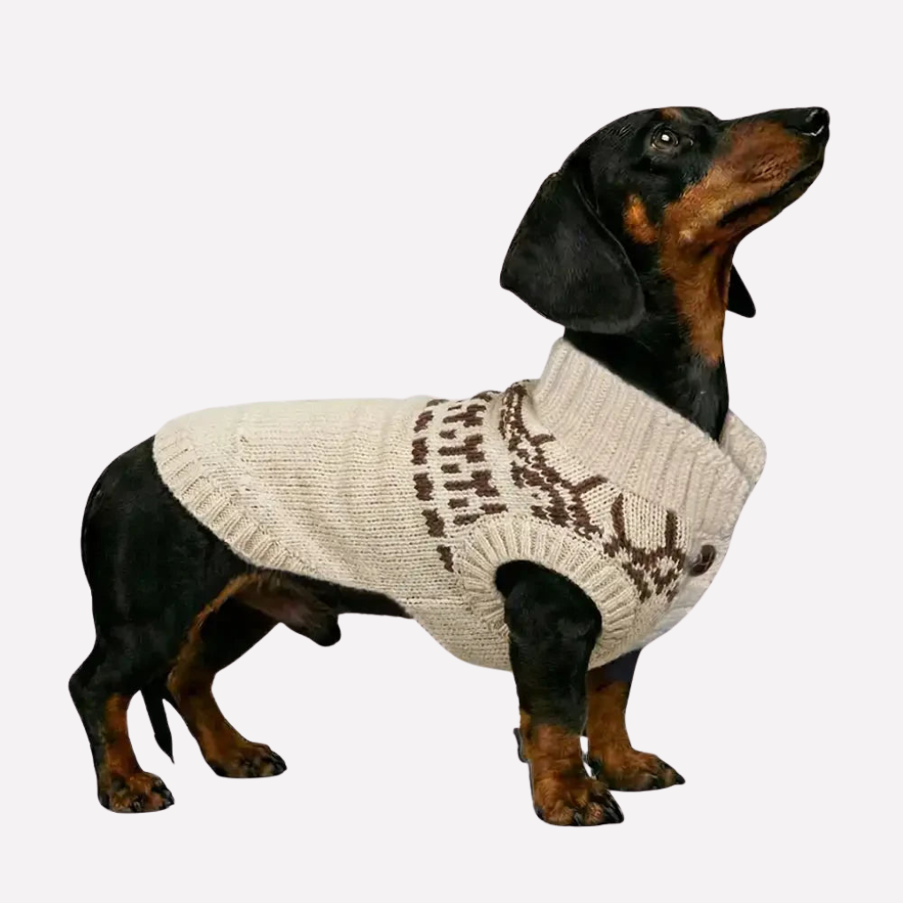 Colorful Dog Vest Sweater for Dachshund Breeds - Peties