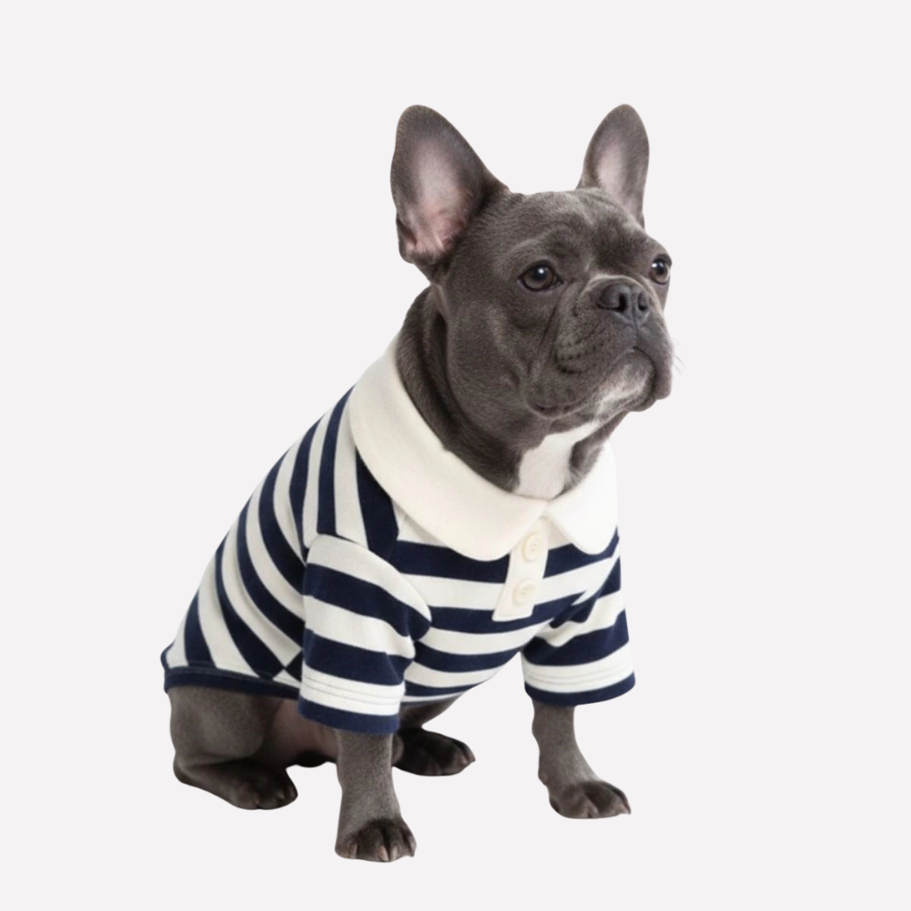 Traditional Breton Style Pet Polo Shirt - Peties