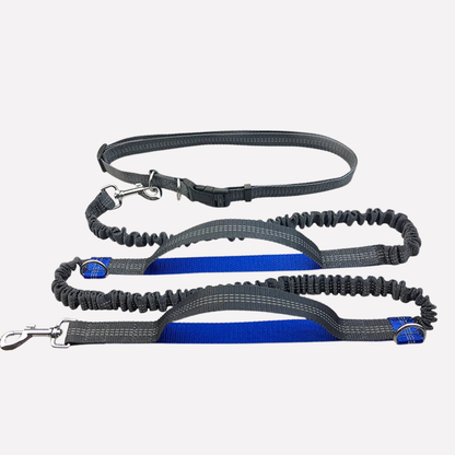 Easy Walk Dog Running Lead - Peties