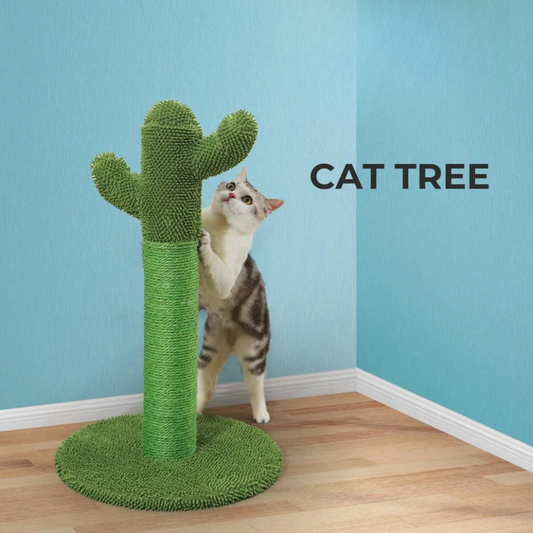 Fun Cat Climbing Cactus Tower - Peties