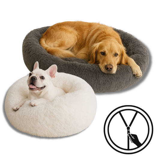 Comfortable Dog Mattress with Removable Cover & Waterproof Layer - Peties