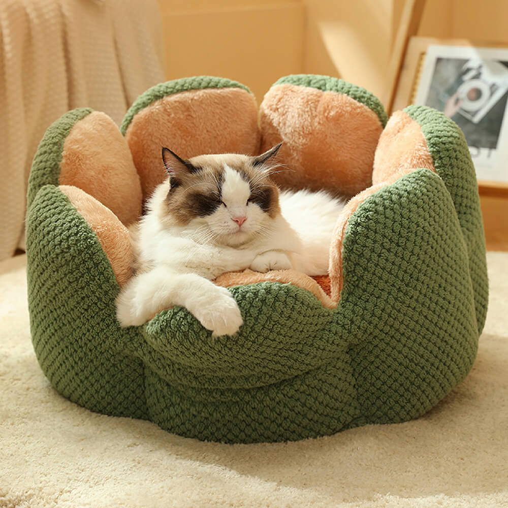 Plush Desert Cactus Pet Bed – Comfortable Sleep