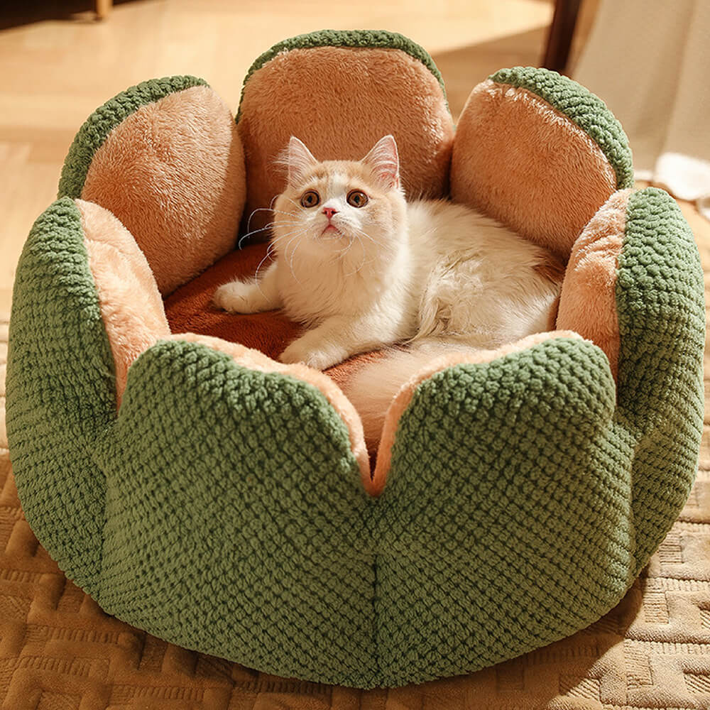 Plush Desert Cactus Pet Bed – Comfortable Sleep - Peties