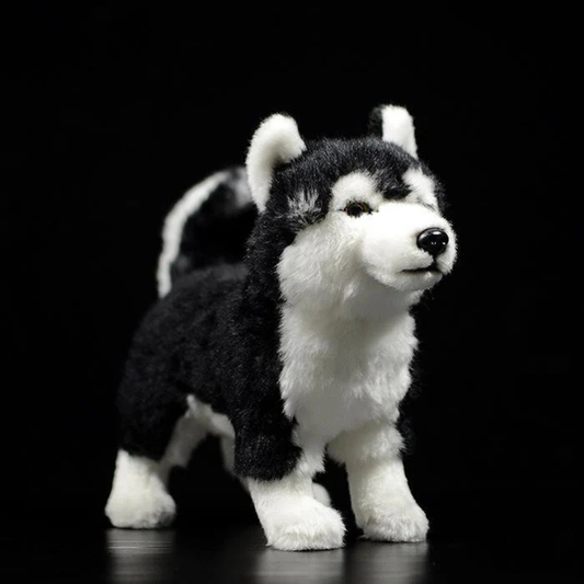 Cuddly Arctic Dog Stuffed Animals - Peties