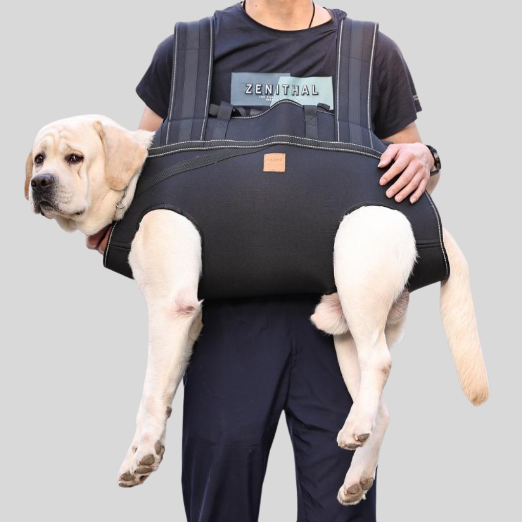 Practical Pet Travel Backpack - Peties