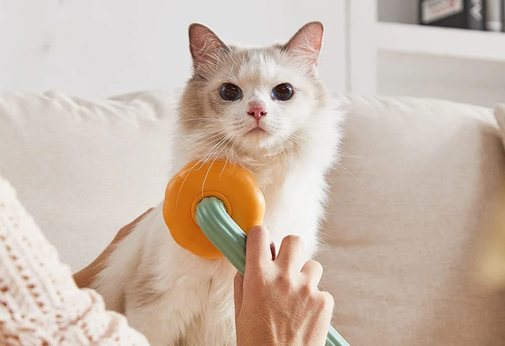 Detangling Hair Comb Brush - Peties