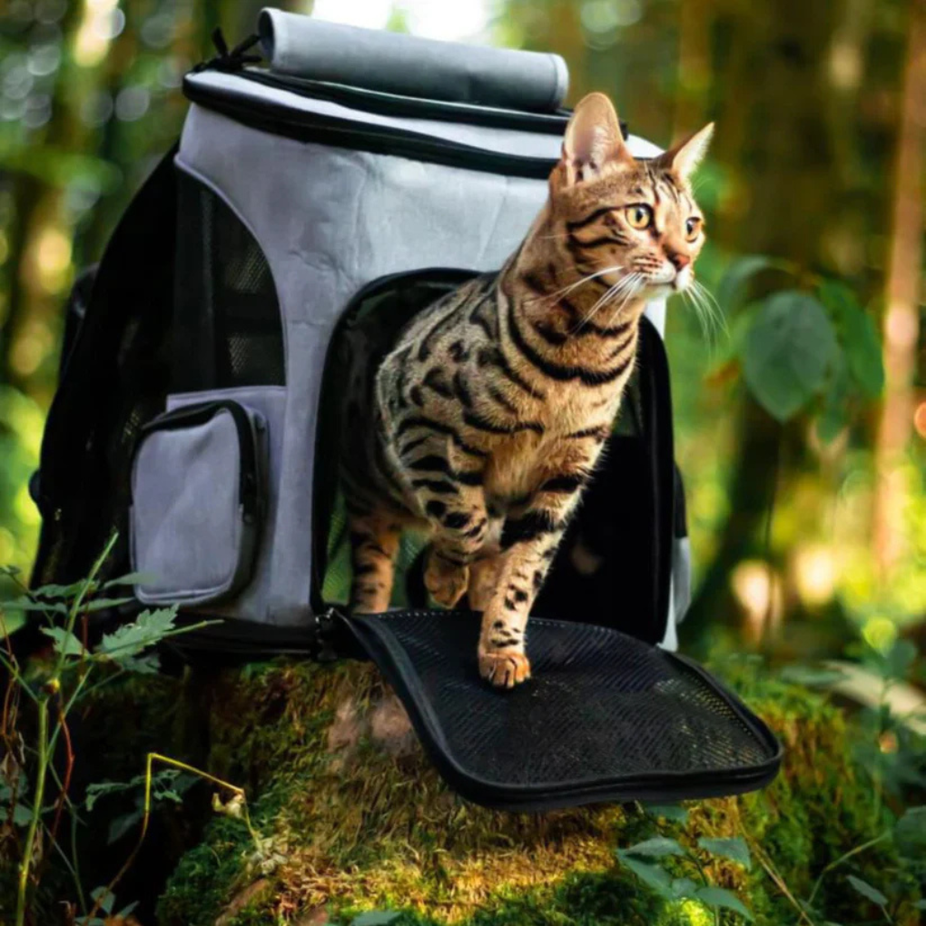 Pet Carrier Backpack for Safe Travel - Peties
