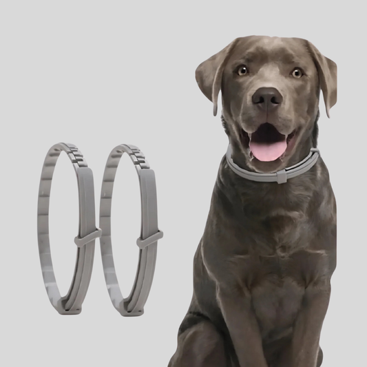 Flea Repellent Pet Collar for Dogs - Peties