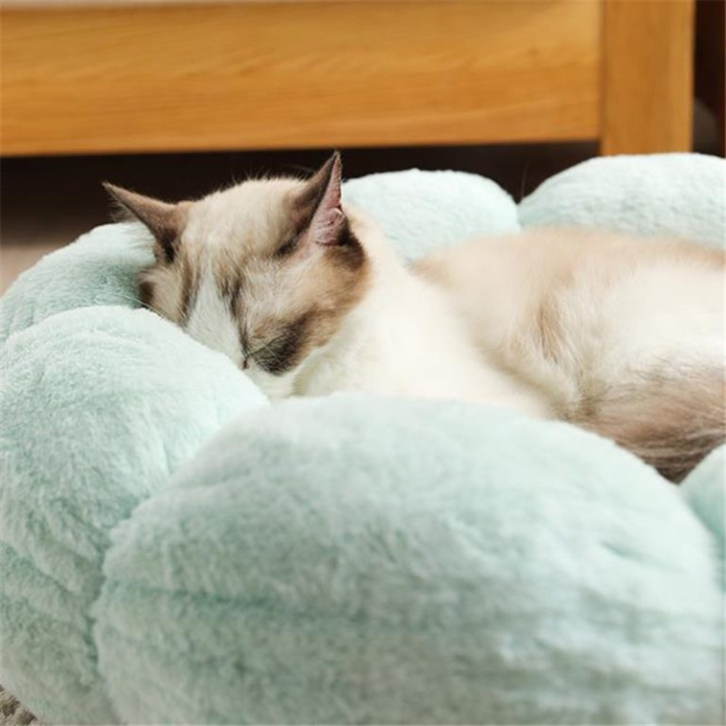 Soft Floral Cat Bed - Peties