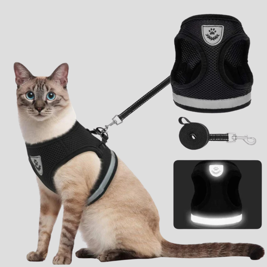 Kitten Walking Vest with Lead Set - Peties