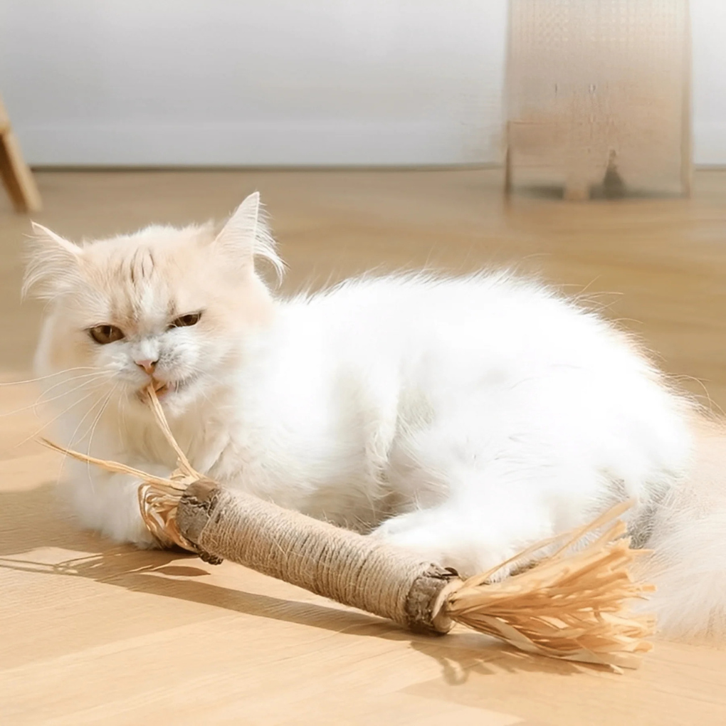 Healthy Dental Chew Sticks for Cats - Peties