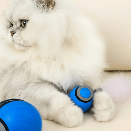 Fun Rolling Ball Game Toy - Peties