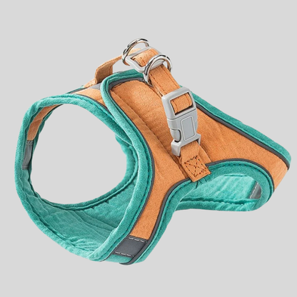 Pet Kitten Walking Harness Set