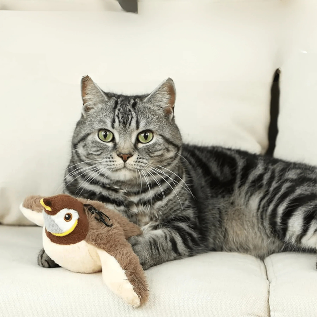 Fun Feather Teaser Toy - Peties