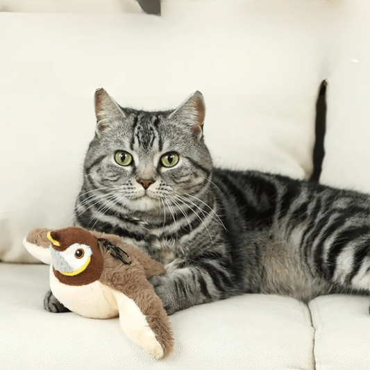 Fun Feather Teaser Toy - Peties