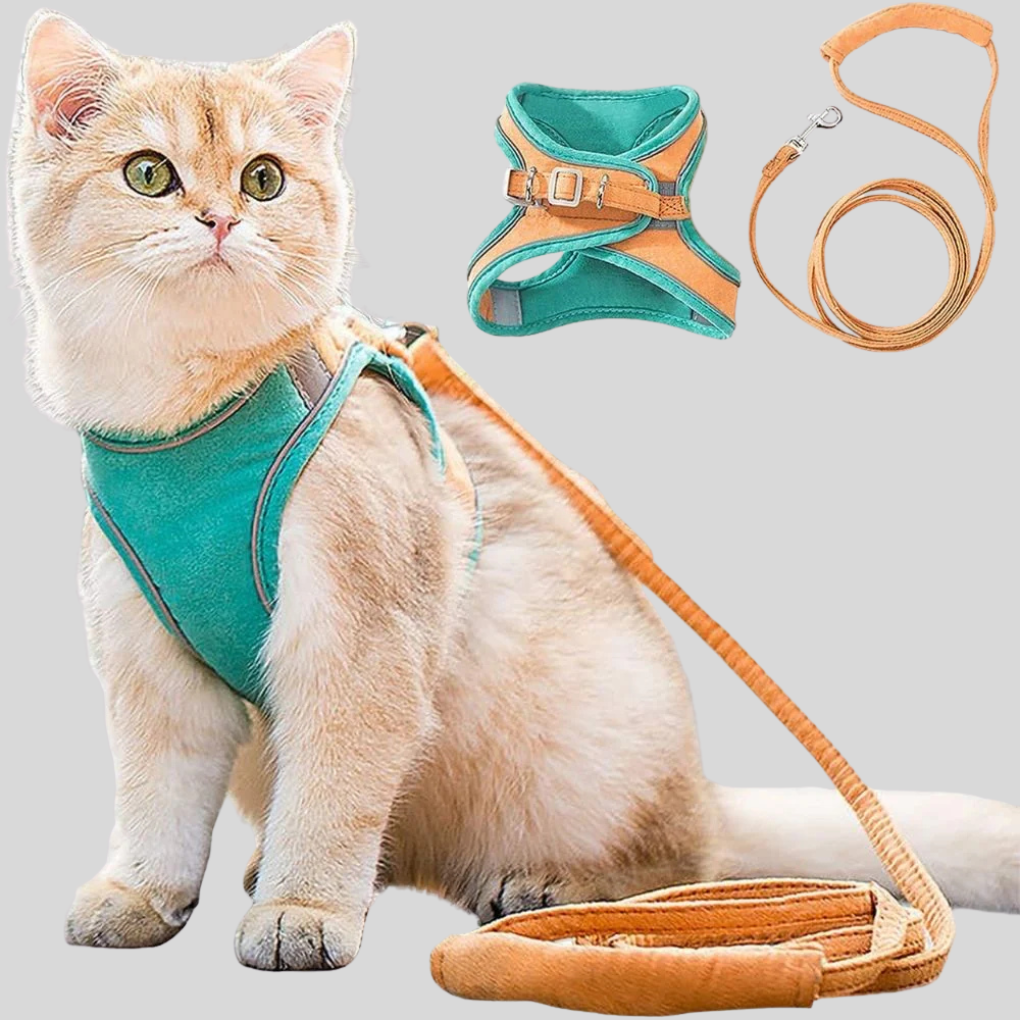 Pet Kitten Walking Harness Set - Peties