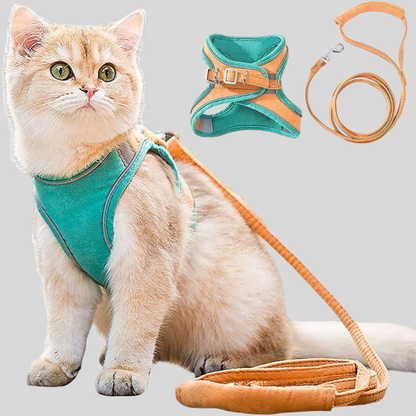 Pet Kitten Walking Harness Set - Peties