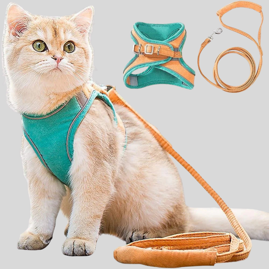 Pet Kitten Walking Harness Set - Peties