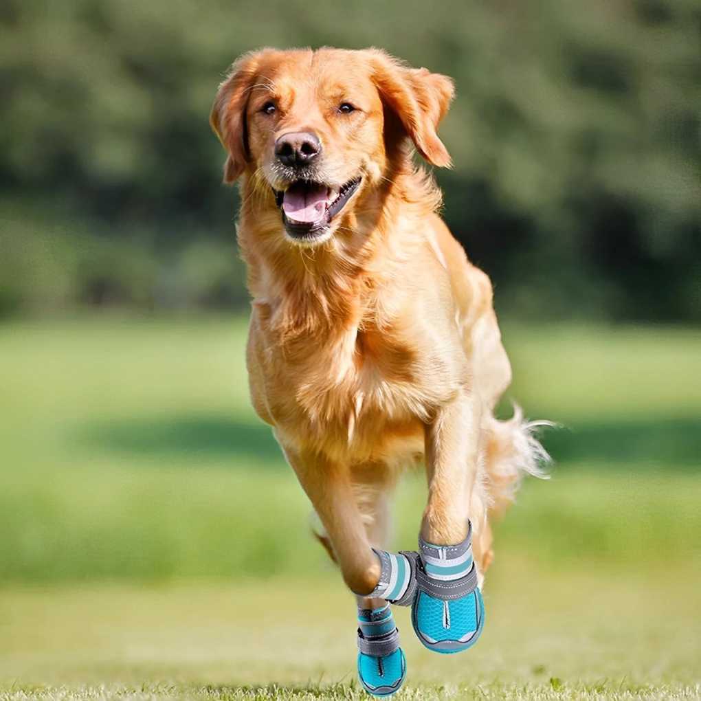 Grip Sole Waterproof Dog Boots - Peties