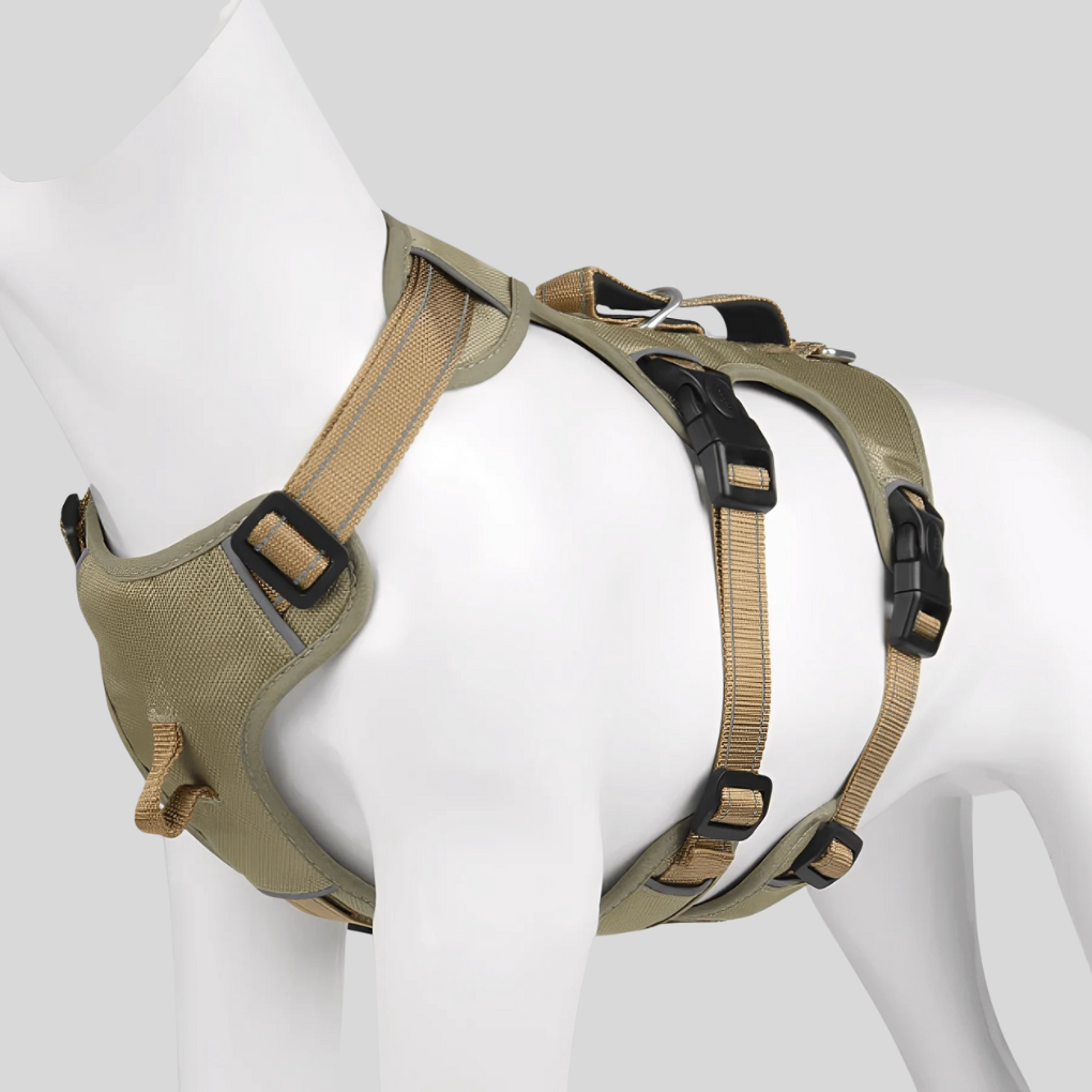 Comfortable Pet Walking Harness