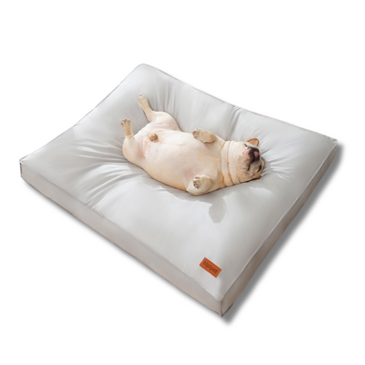 Comfortable Orthopedic Dog Mattress with Washable Cover - Peties