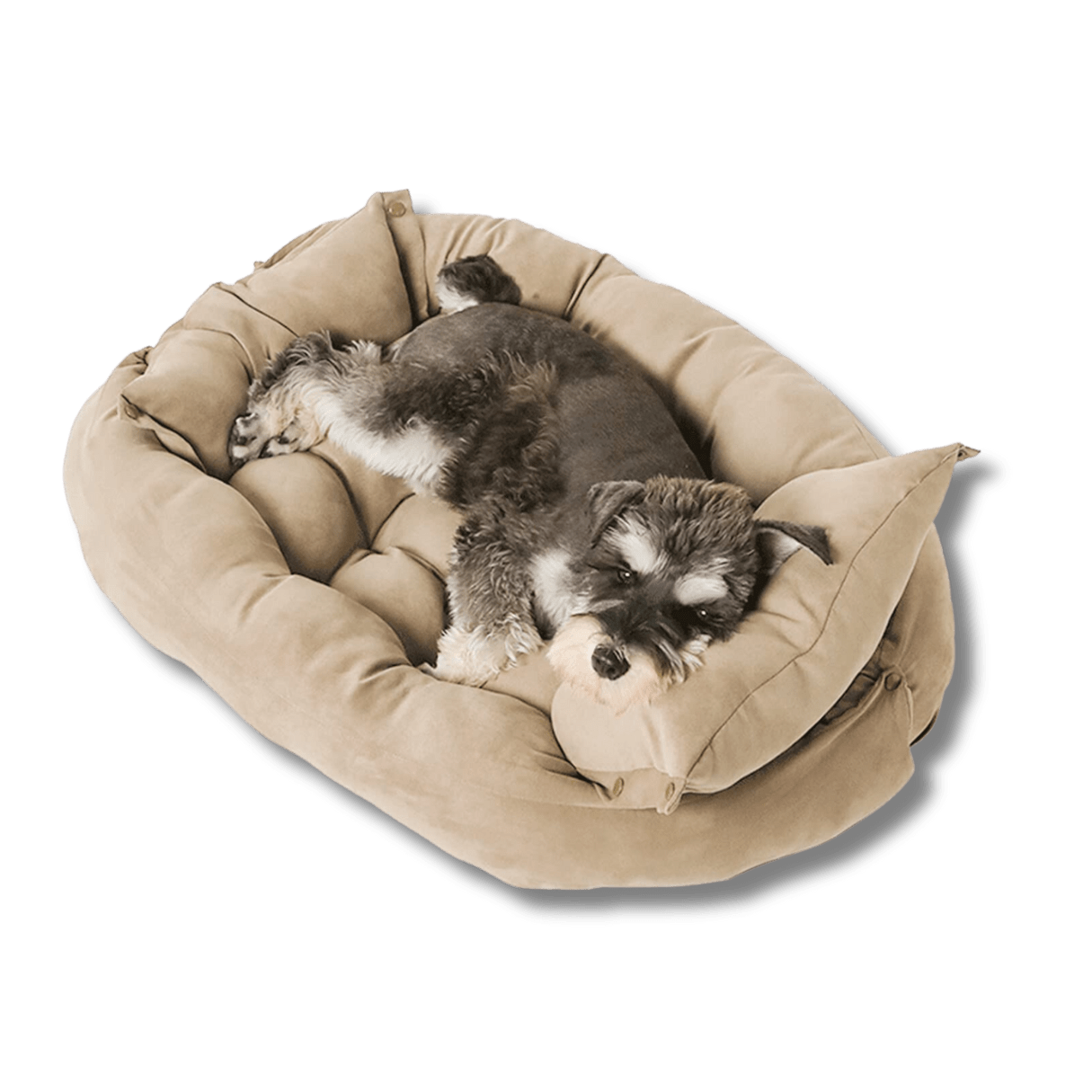 Comfy 3-in-1 Folding Dog Sofa Bed - Peties