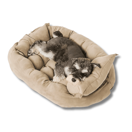 Comfy 3-in-1 Folding Dog Sofa Bed - Peties