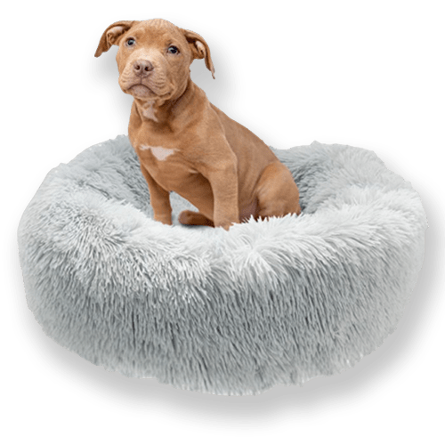 Comfortable Dog Mattress with Removable Cover & Waterproof Layer