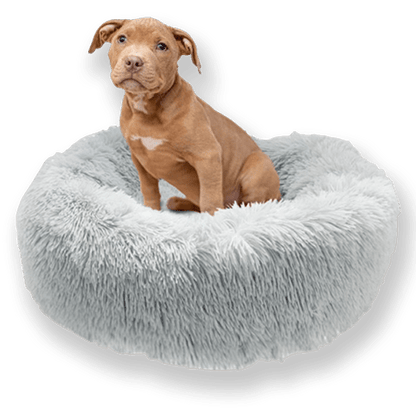 Comfortable Dog Mattress with Removable Cover & Waterproof Layer