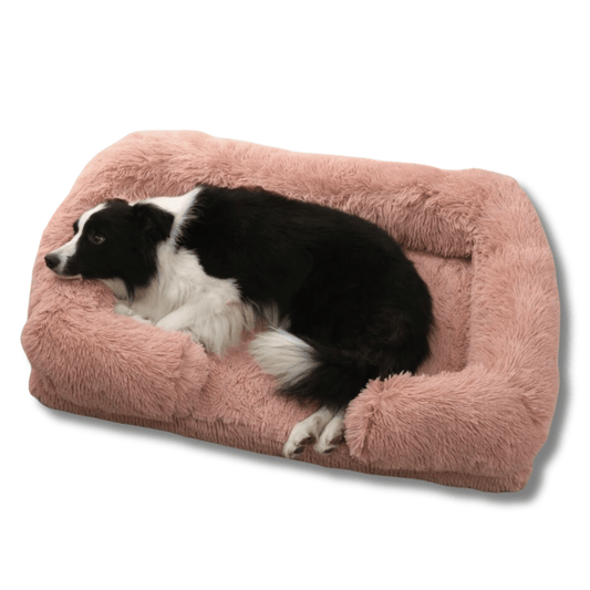 Comfortable Supportive Dog Bed for Big Dogs - Peties