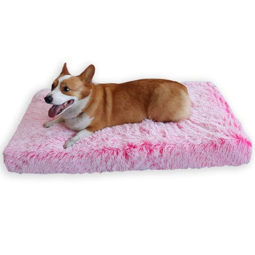 Plush Orthopedic Calming Dog Bed for Restful Sleep